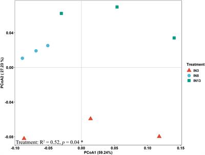 Arbuscular mycorrhizal fungi contribute to wheat yield in an agroforestry system with different tree ages